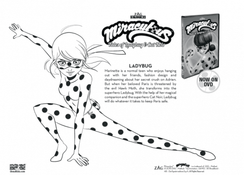 ladybug sheet
