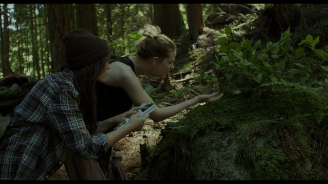 Into The Forest Coming To Blu Ray Dvd 10 4 Review